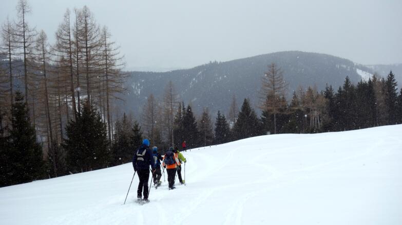 Plateau um 1130m, links ab zum Sattel