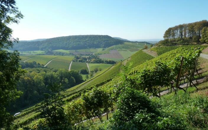 Schönste Weinsicht Deutschlands
