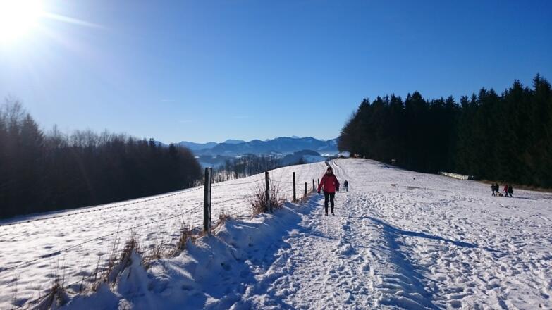 Auf dem Weg zum Damberg