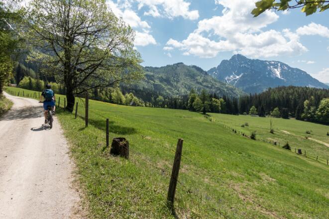 Unterwegs auf der Forststraße entlang dem Sonnleitner Reith