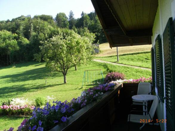 Haus am Wald Ausblick