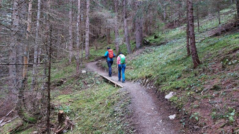 Durch den Wald