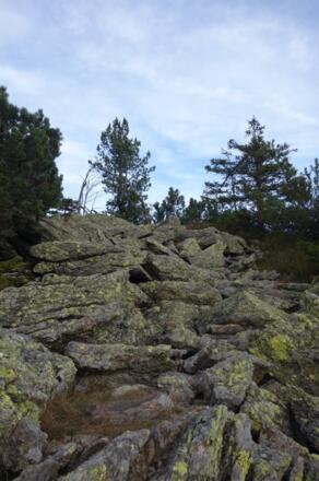 Blockmeer zum Zwercheck