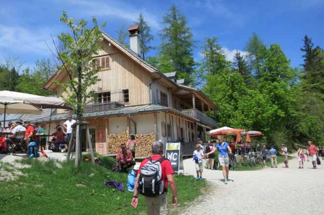 Ramsaualm am Laudachsee