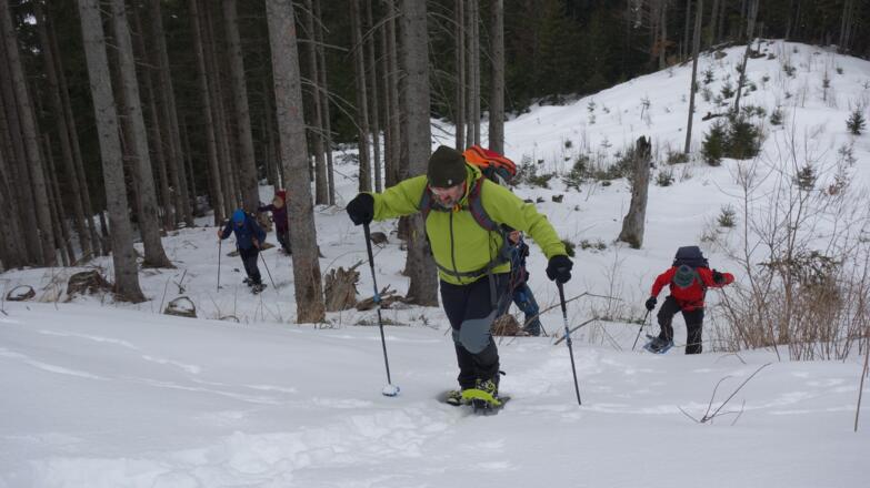 Steilanstieg zur Forststraße (~1140m), queren