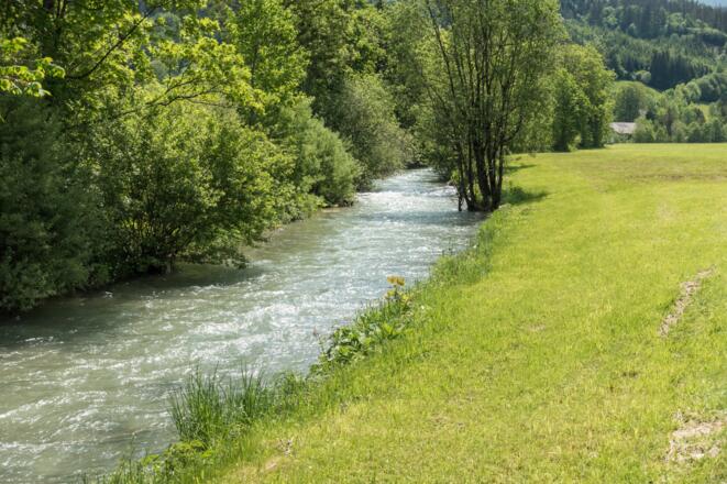 Teichl