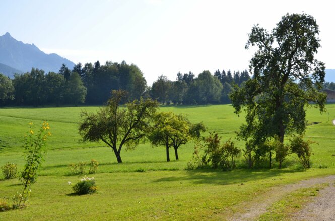 FiSCHERGUT vorm Haus