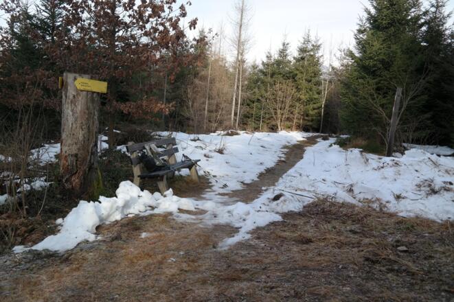 Dort wo wir aus dem Wald kommen, ist eine erneute Wegtafel. Wir gehen geradeaus zur Siedlung "Am Wur".
