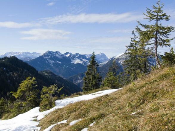 ... zu Veitsberg, Talerjoch und Guffert und ...