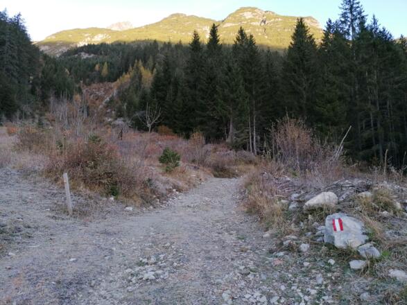 Auf der Forststraße hinauf Richtung Haglertal