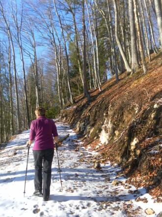 Güterweg in der Südflanke