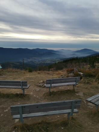Naturkino beim Zwercheck
