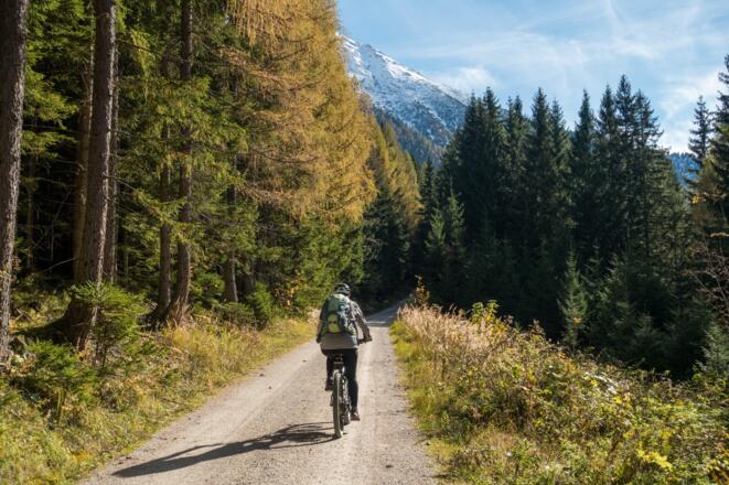 Forstweg nach der Großhütte im Herbst