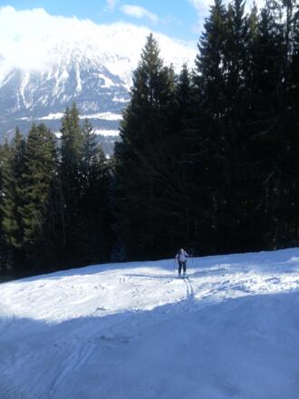 in der ersten Waldschneise