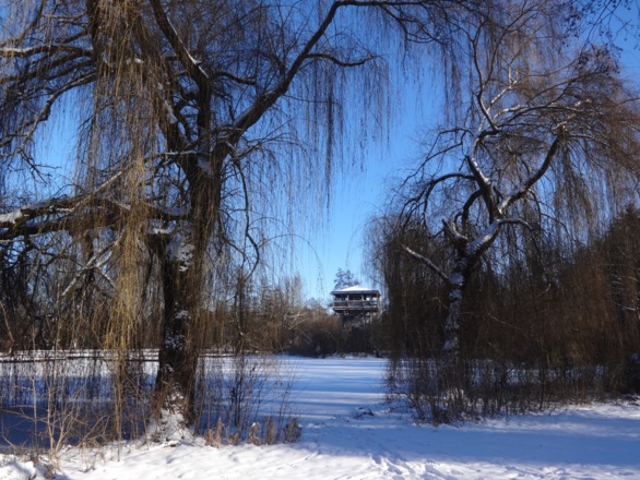 Eisweiher am LAGA Gelände