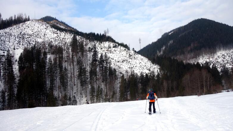Gipfelziele: Gr. und Kl. Mitterberg (rechts)