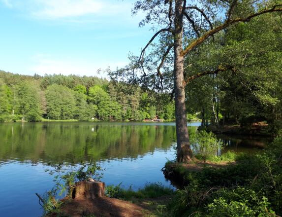 Dreiburgenseerunde (kurz)
