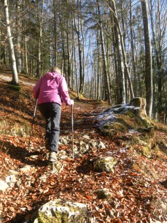 Hohlweg nach Hof
