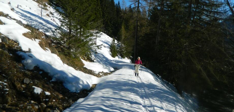 am Weg auf der Zaglbauernalm
