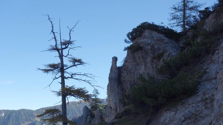 Am Dolomitensteig