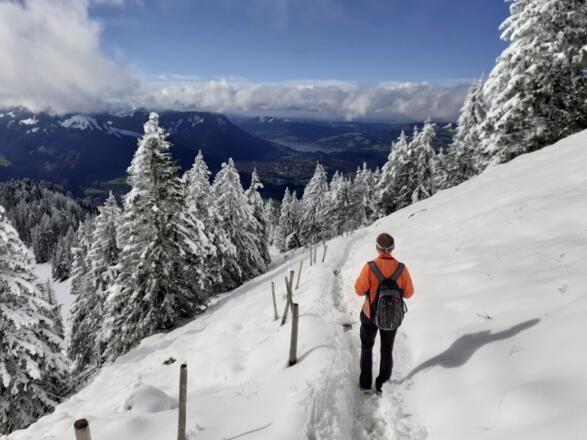 Winterwandern am Grünten