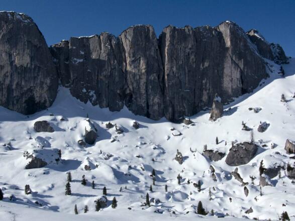 Klobenjoch heißt geklobenes (gespaltenes) Joch.