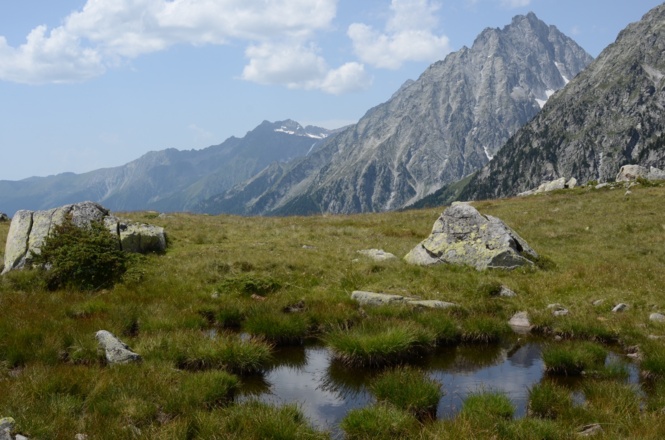 Zurück ins Grün: Beim Abstieg zum Staller Sattel taucht man ein in die Almlandschaft, überragt vom Wildgall.