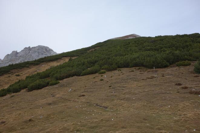 ein Markierungspfosten zeigt den Weiterweg