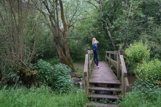 Kleine Holzbrücke auf dem Moorlehrpfad