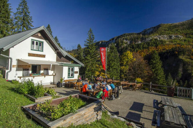 Stallburgalm - Weyer