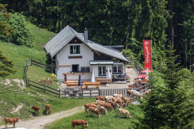 Stallburgalm - Weyer