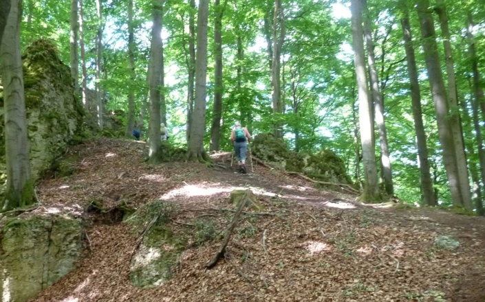 Anstieg zum Hochberg