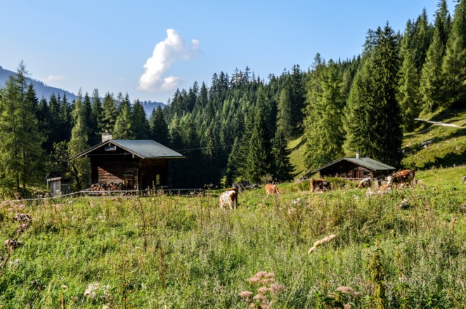 Die Gotzentalalm