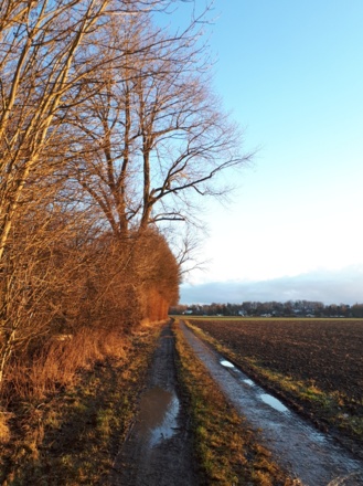 zurück nach Straubing