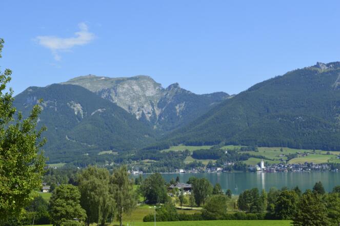 Schwandbauer