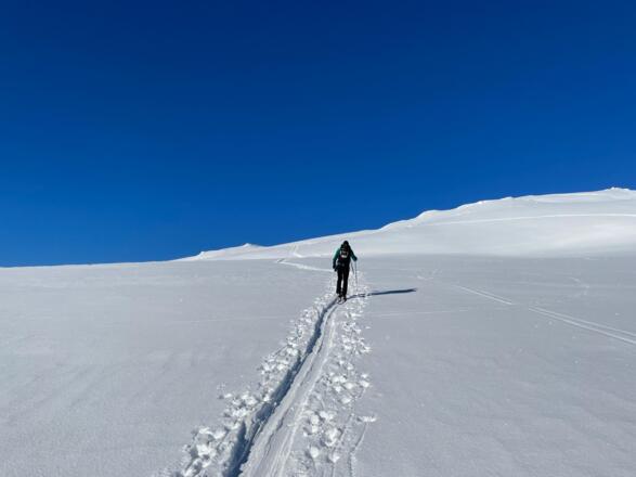 Kurz vor dem Gipfel der Gaipahöhe