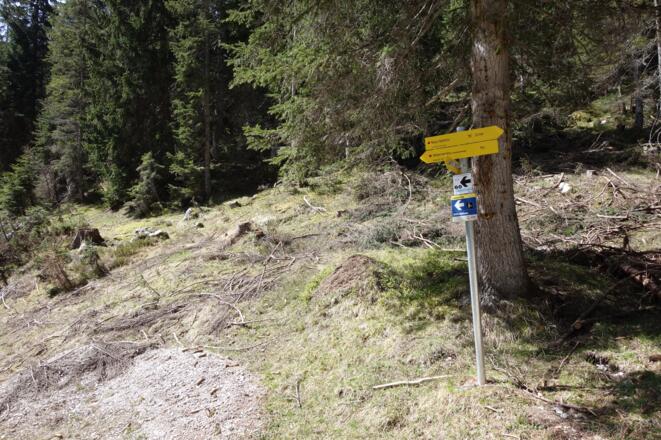 immer der Mountainbikestrecke Richtung Wildermieming folgen