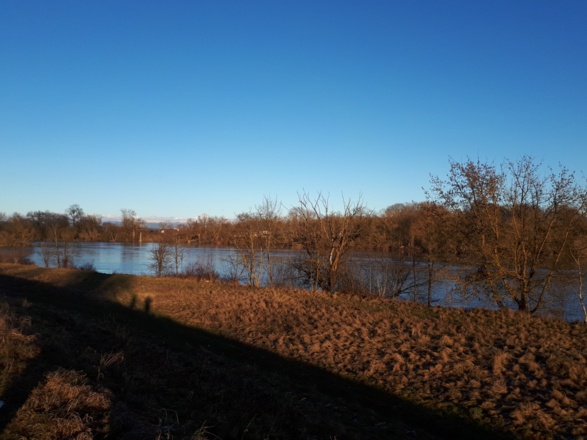 Donau