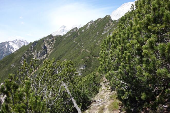 der Weiterweg ist gut einzusehen