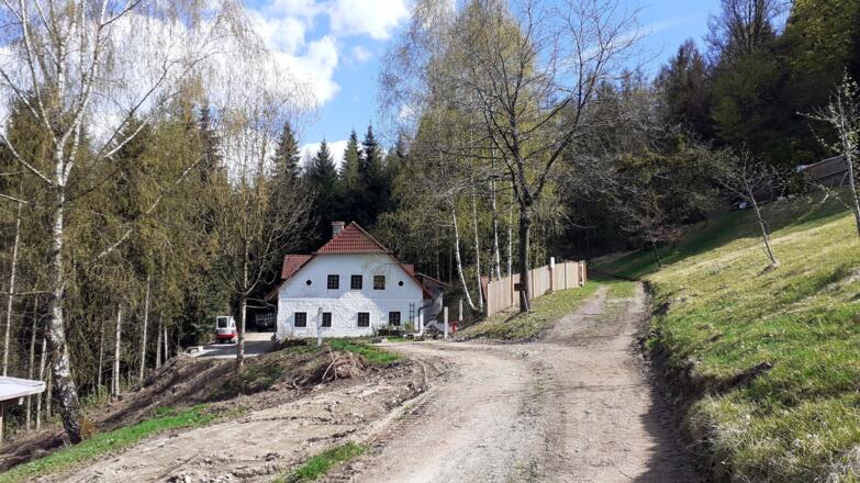 Hinter dem Haus erreichen wir die Forststraße um 445m
