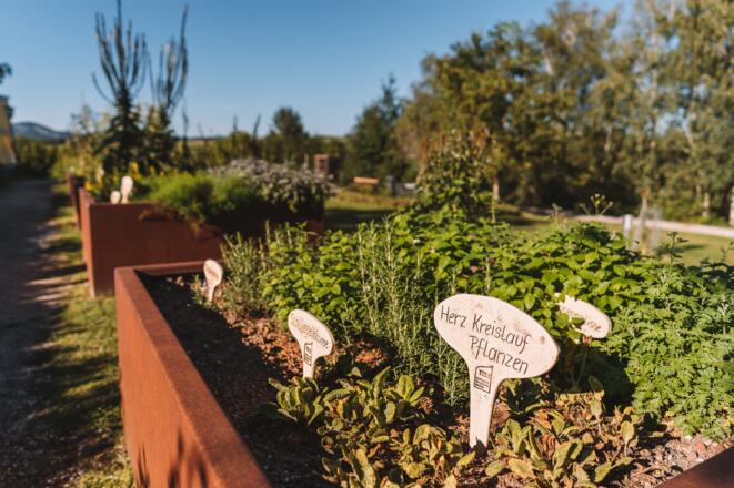 Curhaus Bad Kreuzen, Kneippengarten