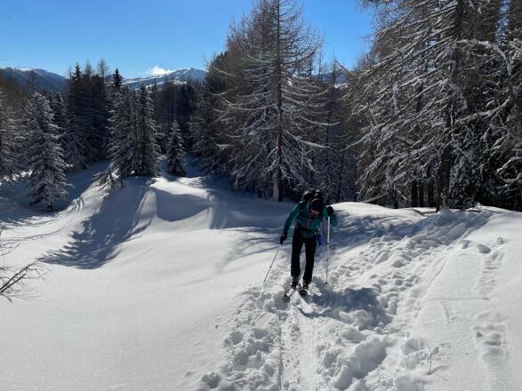Am Ende des Waldes auf ca 1.900 m Seehöhe