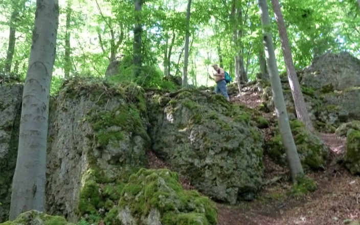 Hochberg