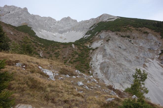 an der Waldgrenze Blick ins Schneekar