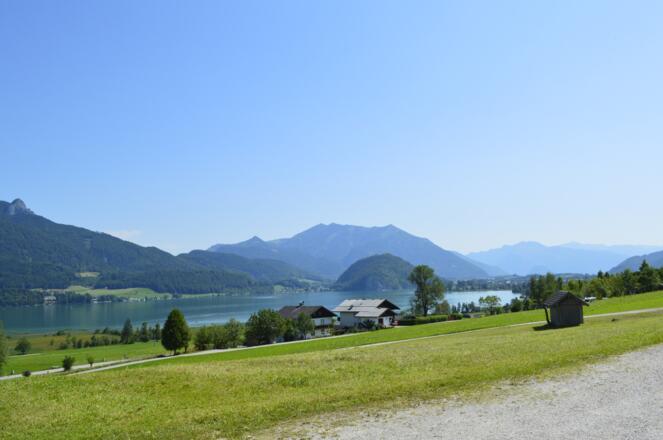 Schwandbauer