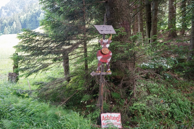 An der Einzäunung der Weißenalm grüßt eine freundliche Holzkuh
