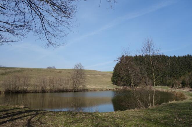Neumühlweiher