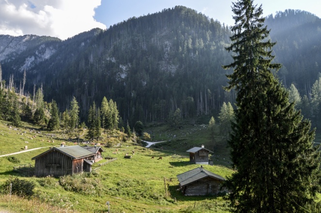 Die Gotzentalalm