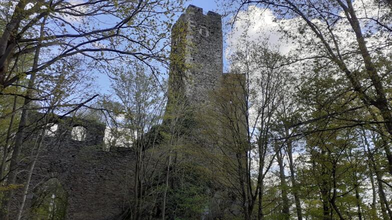 Burgruine Stauf 537m