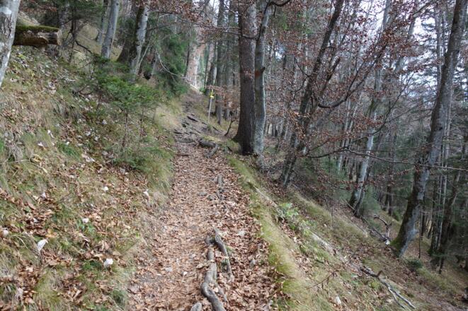 beim Wegweiser Richtung Aspachhütte